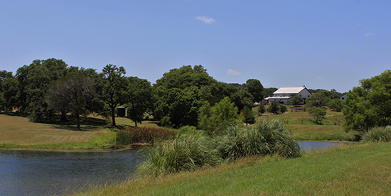 Flat Creek Estate Winery & Vinyard